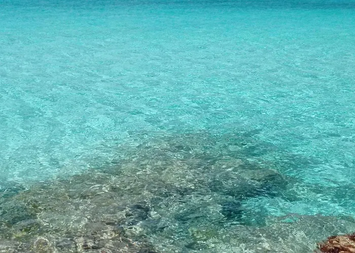 Alojamento de Acomodação e Pequeno-almoço Lungomare Galilei 3*